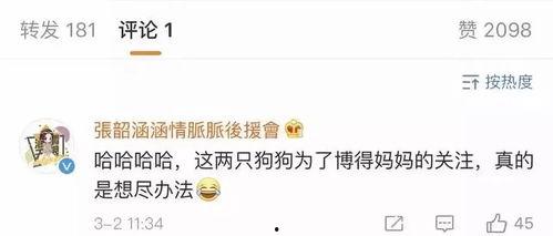 吃瓜娱乐地理,揭秘娱乐圈背后的故事与热点