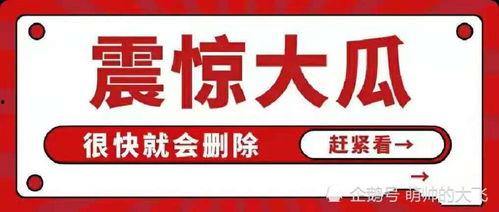 娱乐圈吃瓜八卦公众号,明星背后的惊人真相！