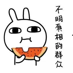 娱乐吃瓜酱学单词