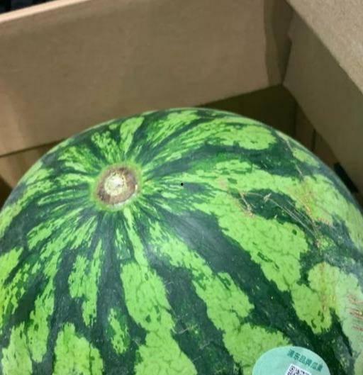 吃瓜娱乐间真假,真假吃瓜,真相大白 第2张 吃瓜娱乐间真假,真假吃瓜,真相大白 第2张