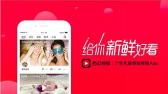 娱乐吃瓜视频剪映素材,娱乐吃瓜视频背后的精彩瞬间  第1张