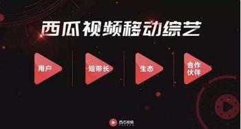 娱乐吃瓜视频剪映素材,娱乐吃瓜视频背后的精彩瞬间  第2张