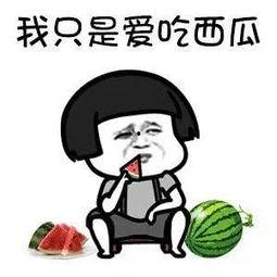 吃瓜娱乐简介,吃瓜群众眼中的明星幕后故事  第3张